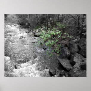 Hint of Green Poster