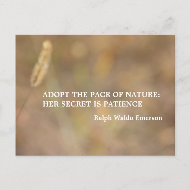 "Hint Of Nature" Photography Art with Quote Postcard (Front)