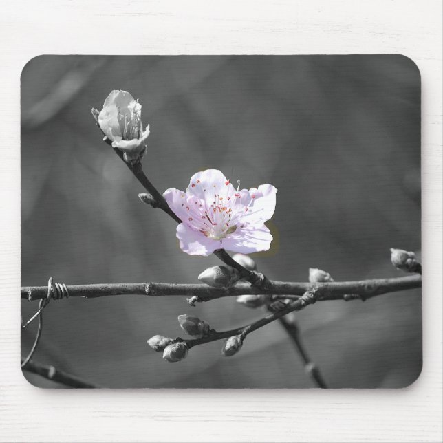 Hint of Pink Cherry Blossom Mouse Mat (Front)