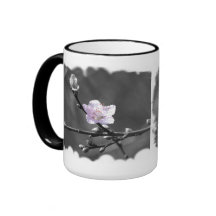 Hint of Pink Cherry Blossom