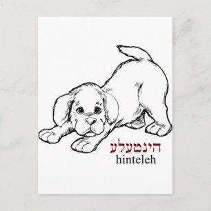 "Hinteleh"-puppy Postcard