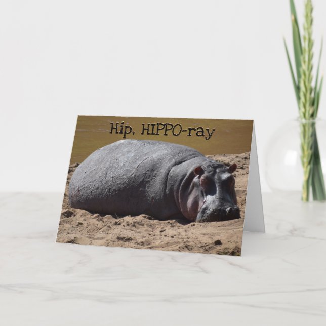 Hip Hip Hooray Hippo Birthday Card (Front)