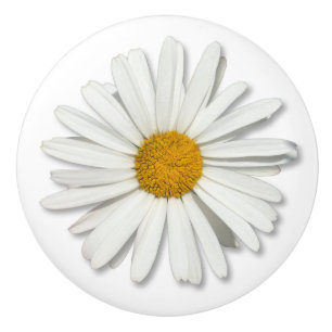 Hippie White Daisy Flower Blossom - Trendy Fashion Ceramic Knob