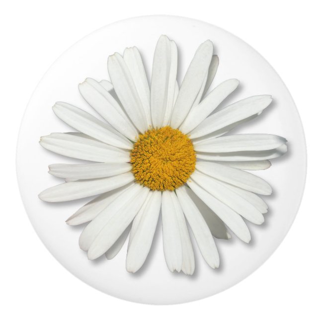 Hippie White Daisy Flower Blossom - Trendy Fashion Ceramic Knob (Front)