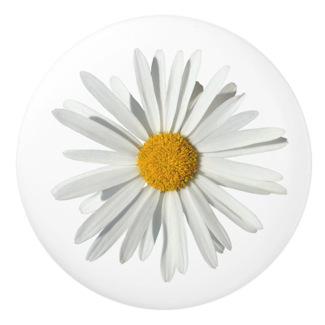 Hippie White Daisy Flower Blossom - Trendy Fashion Ceramic Knob (Front)