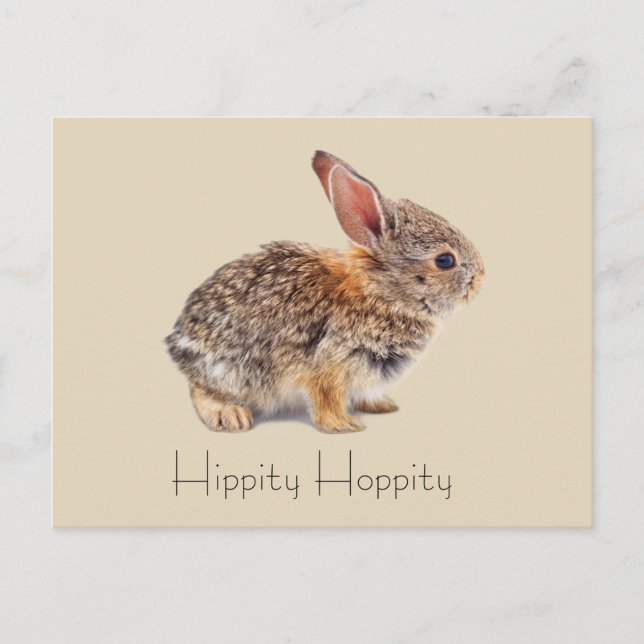 Hippity Hoppity Cottontail Rabbit Postcard (Front)