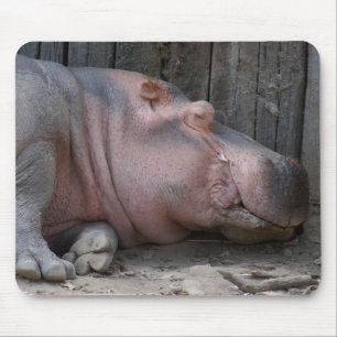 hippo2-4 mouse mat
