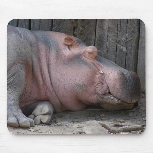 hippo2-4 mouse mat (Front)