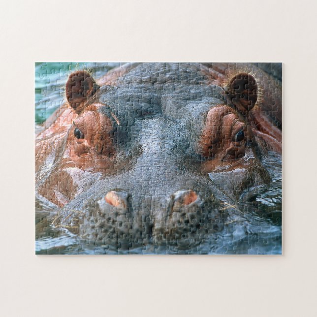 Hippo #1 jigsaw puzzle (Horizontal)