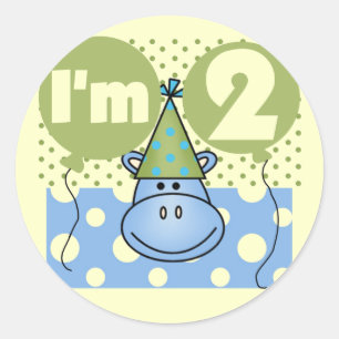Hippo 2nd Birthday Tshirts and Gifts Classic Round Sticker