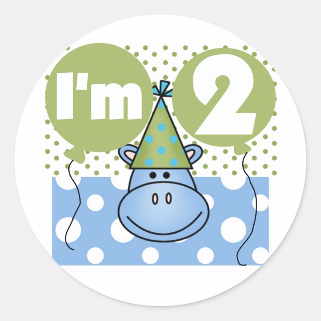 Hippo 2nd Birthday Tshirts and Gifts Classic Round Sticker (Front)