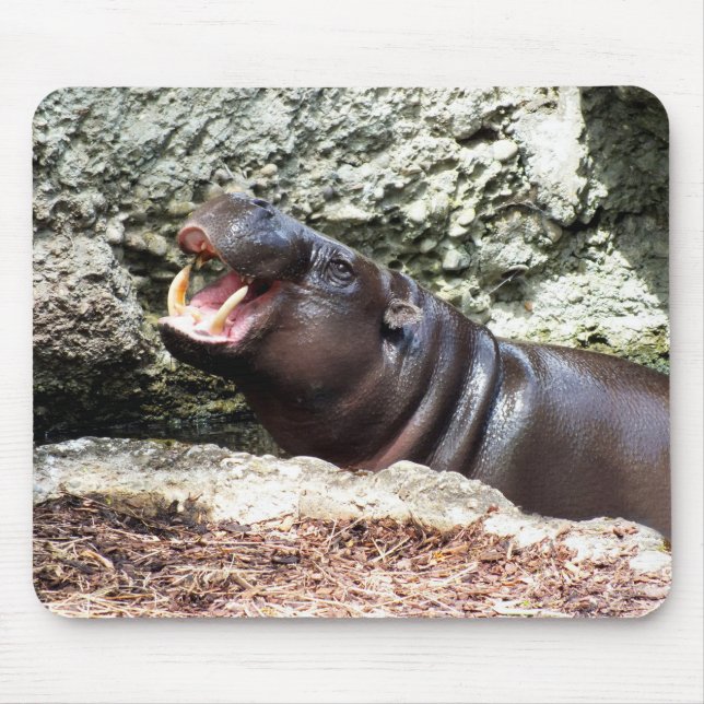 Hippo animal mouse mat (Front)