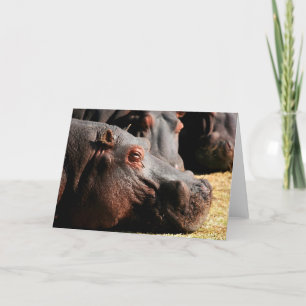 Hippo attitude customisable card