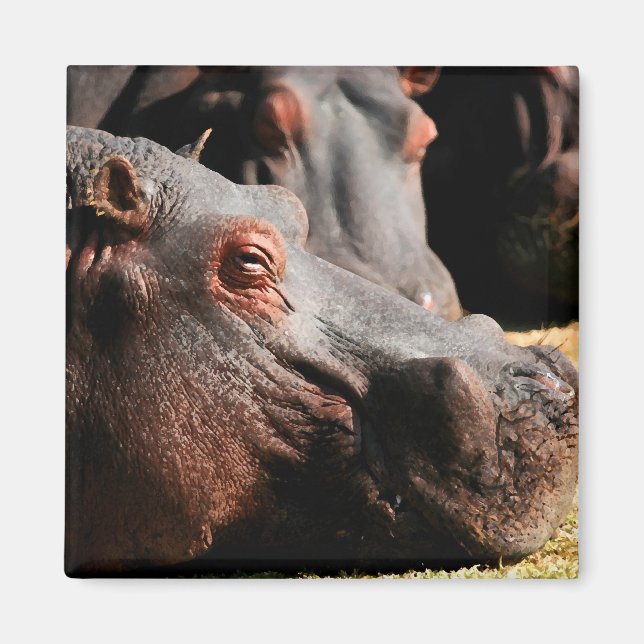 Hippo attitude magnet (Front)