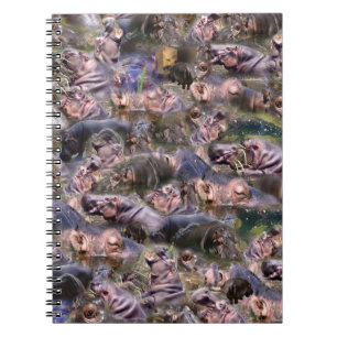 Hippo Collarge, Notebook