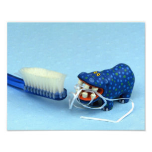 Hippo Floss Photo Print