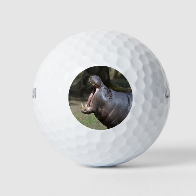 Hippo Golf Balls (Front)