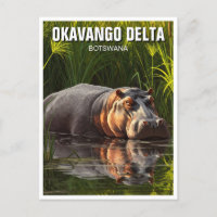 Hippo in Okavango Delta Botswana