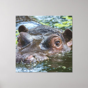 Hippo In The Water Triptych Canvas Print