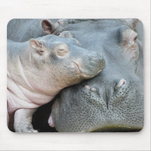 Hippo Mouse Mat