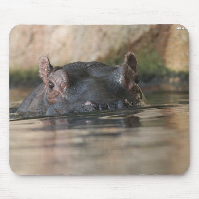 Hippo Mousepad (Front)