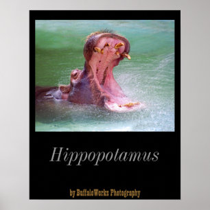 Hippo Mouth Open Poster