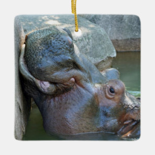 Hippo Ornament