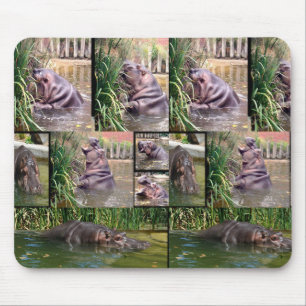 Hippo Photo Collage,  Mousepad
