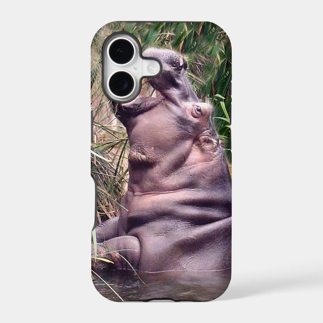 Hippo Roar, (Back)