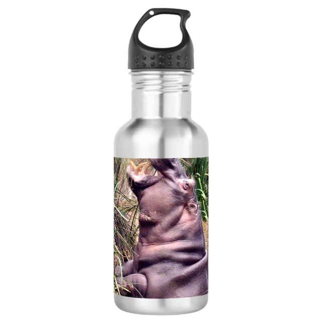 Hippo Roar, 710 Ml Water Bottle (Front)