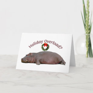 Hippo Sleeps with Holiday Overload