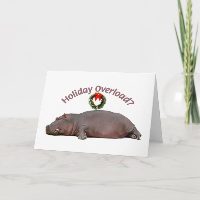 Hippo Sleeps with Holiday Overload (Front)