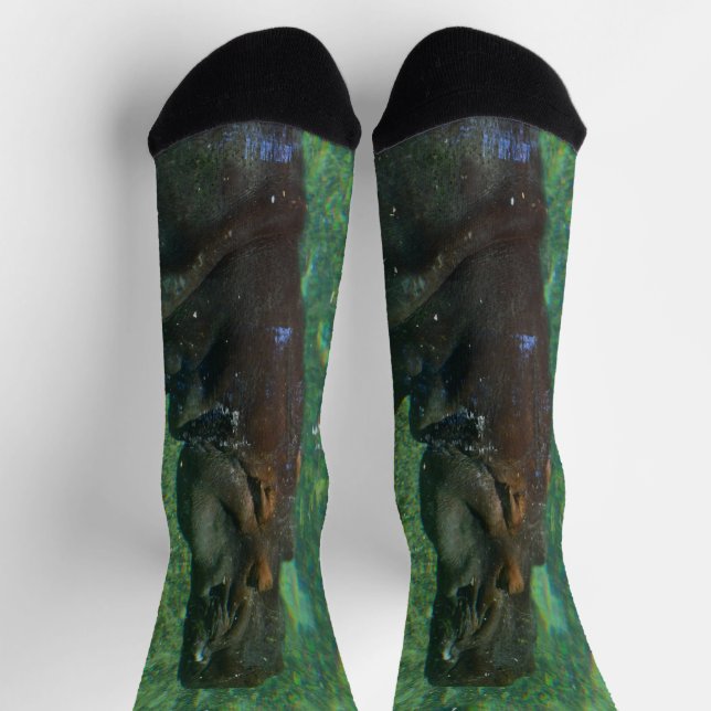 Hippo Swimming Underwater, Crew Socks (Top)