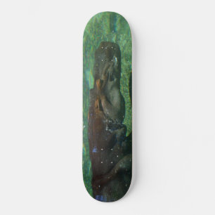 Hippo Swimming Underwater, Skateboard