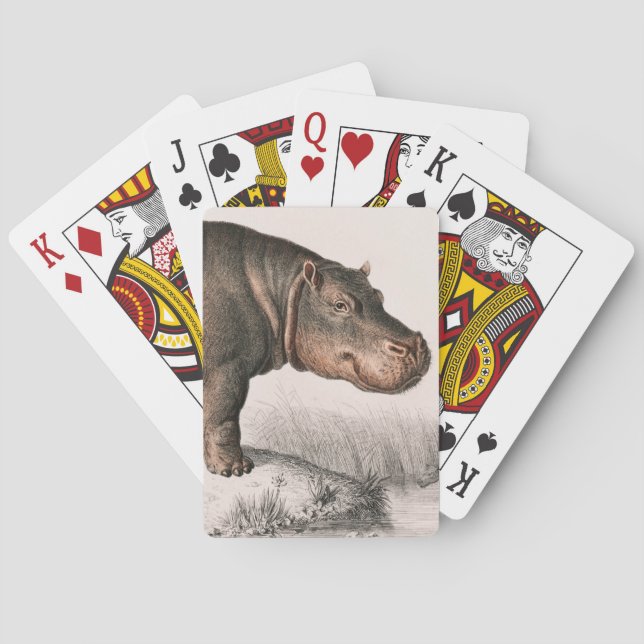 Hippo vintage illustrated playing cards (Back)