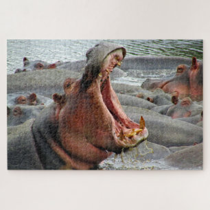 hippo yawn jigsaw puzzle