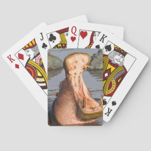 Hippo yawning, Tanzania Playing Cards