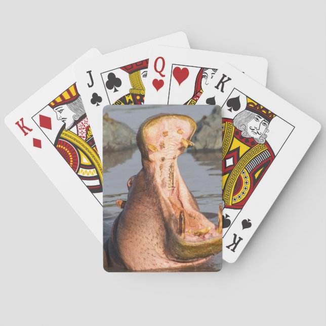 Hippo yawning, Tanzania Playing Cards (Back)