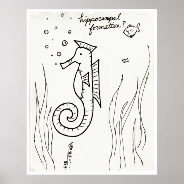 Hippocampal Formation print (Front)