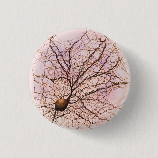 Hippocampal neuron - Button & Pin