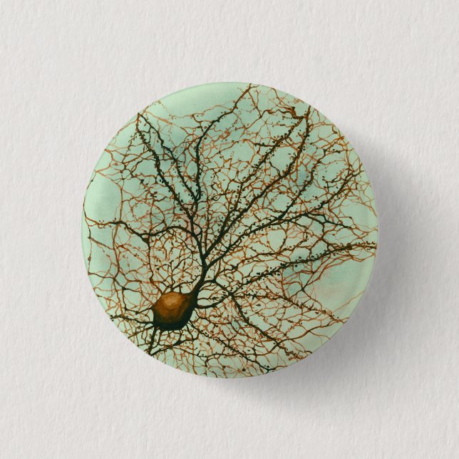 hippocampal neuron - Button & Pin (Front)
