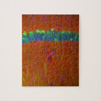 Hippocampal neurons 4 jigsaw puzzle