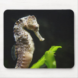 Hippocampus Mouse Mat