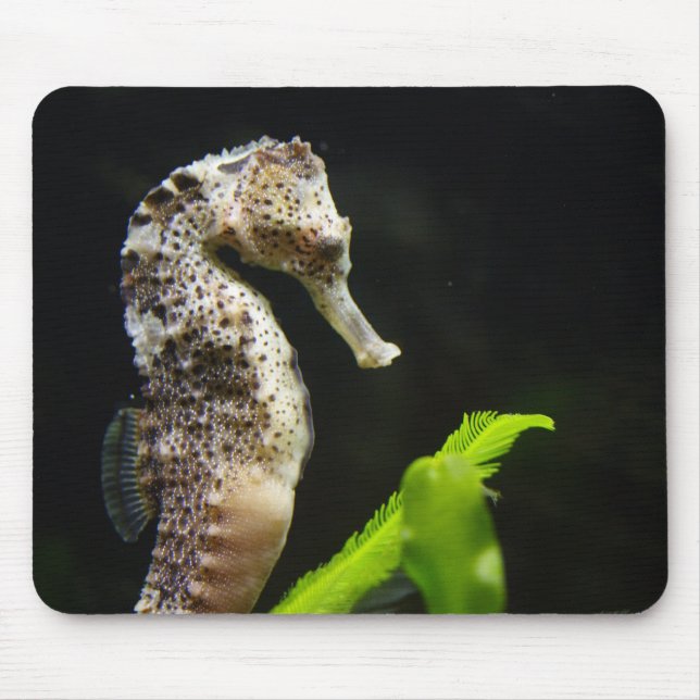 Hippocampus Mouse Mat (Front)