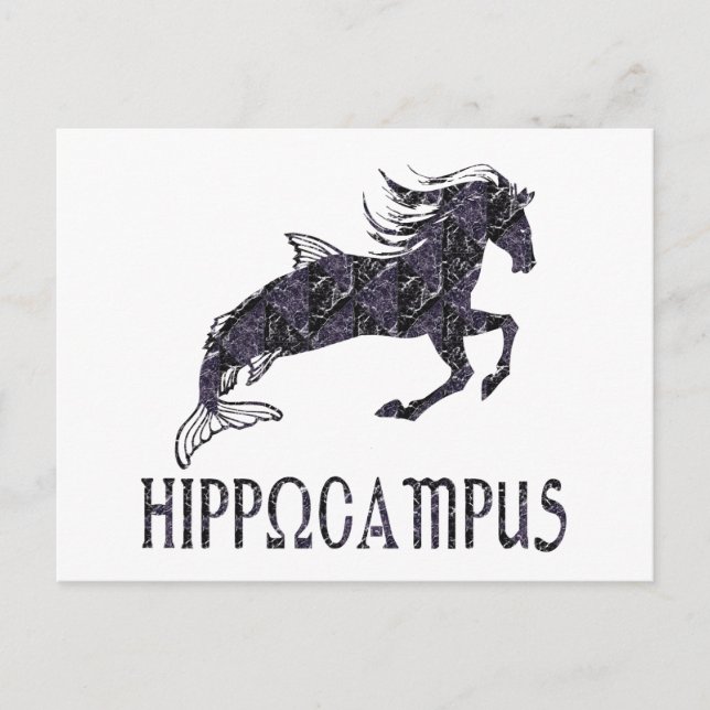 Hippocampus Postcard (Front)