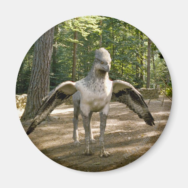 Hippogriff Magnet (Front)