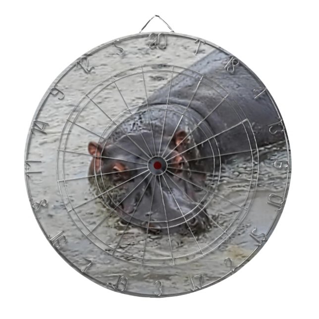 Hippoposterus Dartboard (Front)