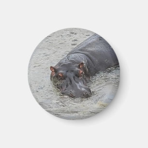 Hippoposterus Magnet