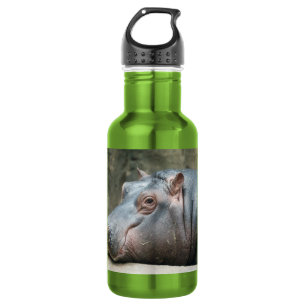 Hippopotamus 532 Ml Water Bottle