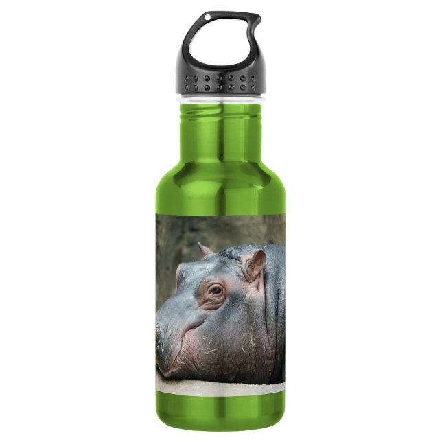 Hippopotamus 532 Ml Water Bottle (Front)